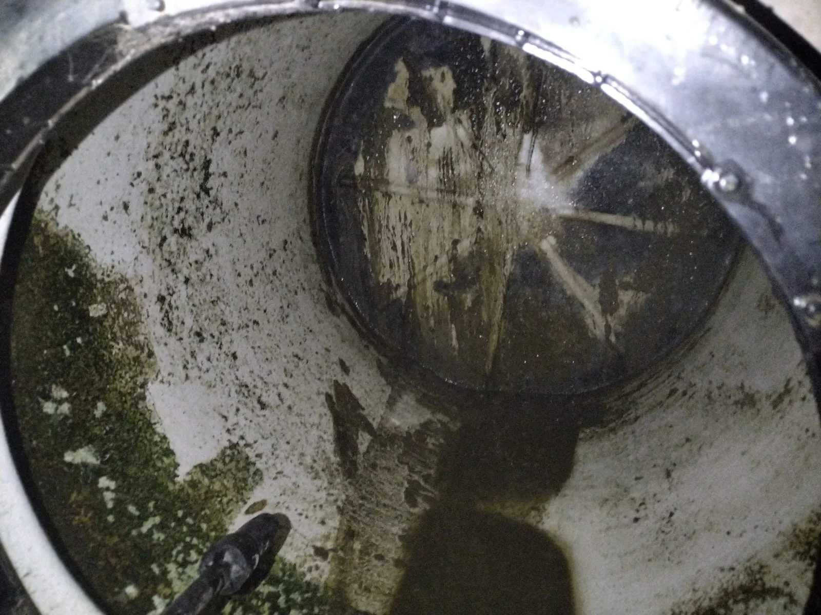 tinaco-sucio-toca-limpiar-desinfectar